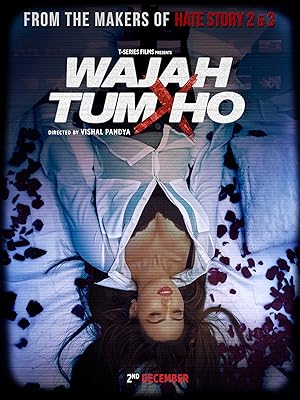 Wajah Tum Ho 2016